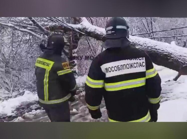 Стало известно, какой будет погода после экстремального снегопада