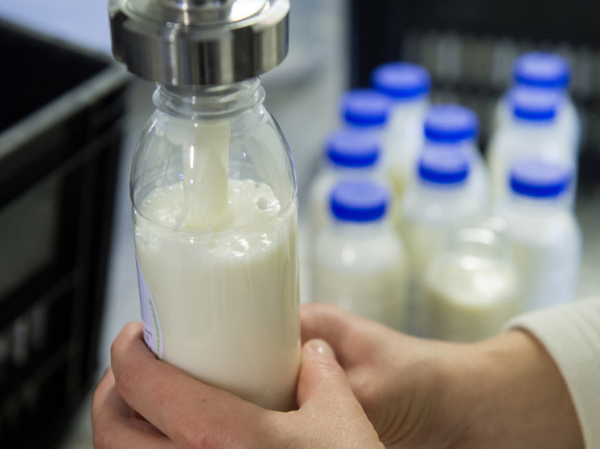 Нутрициолог назвал самый полезный молочный продукт