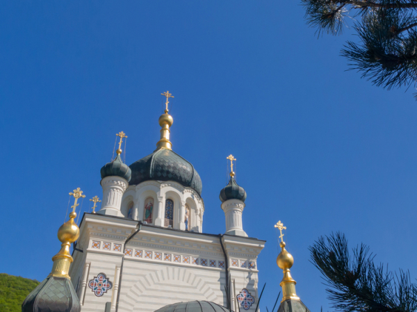 Медицинское образование хотят сдобрить христианскими ценностями