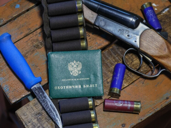 Охотникам разрешат пользоваться более мощным оружием