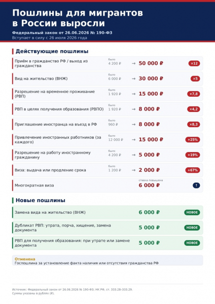 Российский паспорт &laquo;подорожает&raquo;, но мигрантов меньше не станет: эксперты оценили повышение пошлин