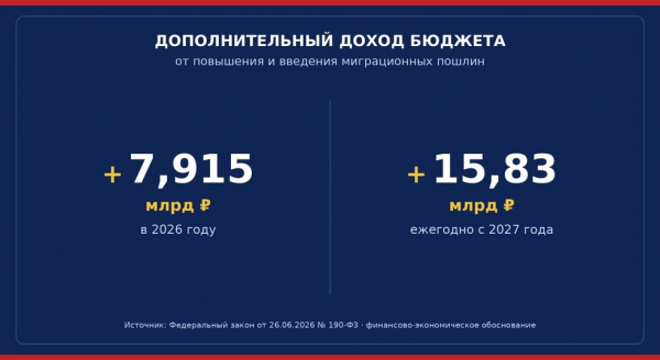Российский паспорт &laquo;подорожает&raquo;, но мигрантов меньше не станет: эксперты оценили повышение пошлин