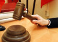 У дровосека, спилившего 12 елей, конфисковали пилу