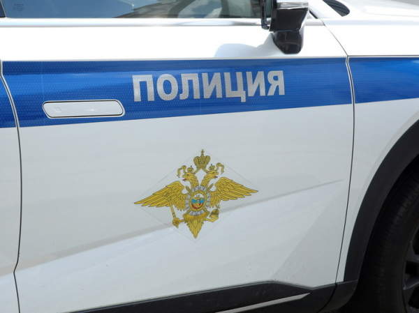 Полицию обяжут помогать органам опеки искать родителей брошенных детей