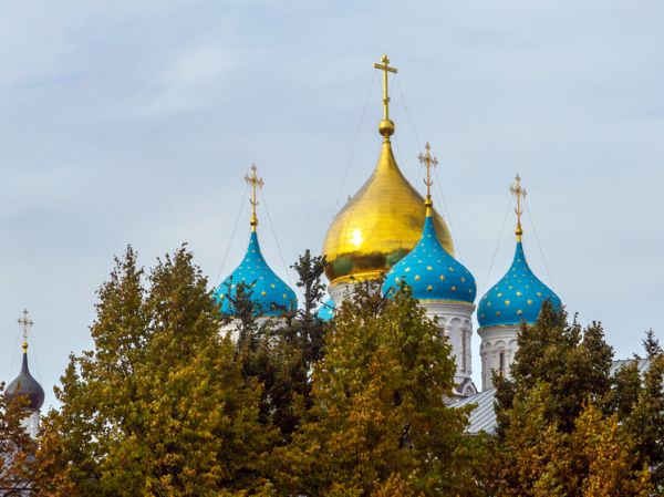 Строящийся храм святого князя Димитрия Донского скоро будет увенчан  куполами