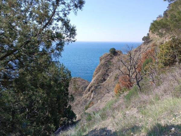 Какой сегодня праздник: 14 сентября 2026 года