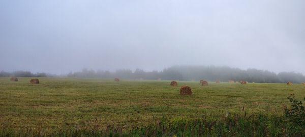 Какой сегодня праздник: 17 сентября 2026 года