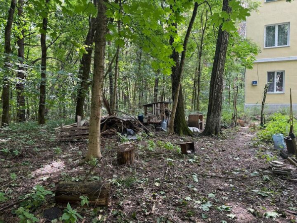 &laquo;Не грозит ничего, кроме всемирного потопа&raquo;: что стало с богатыми и бедными жителями Барвихи
