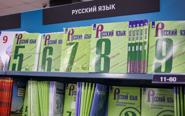 Новые учебники по русскому языку, литературе и ряду предметов появятся в следующем учебном году