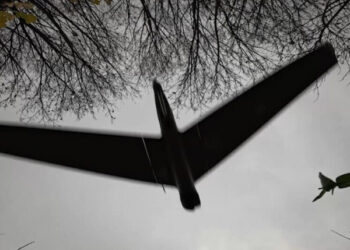 В Башкирии школьник чуть не зарезал на уроке одноклассника, а в Красноярском крае медведь разнес лодку и съел все припасы туристов: картина дня в регионах России глазами «МК»