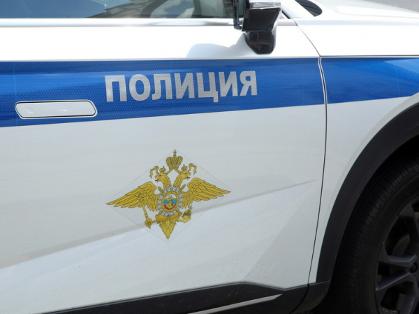 В Красноярском крае медведь загрыз женщину, а челябинка подожгла дом экс-любовника и его сожительницы: картина дня в регионах России глазами &laquo;МК&raquo;