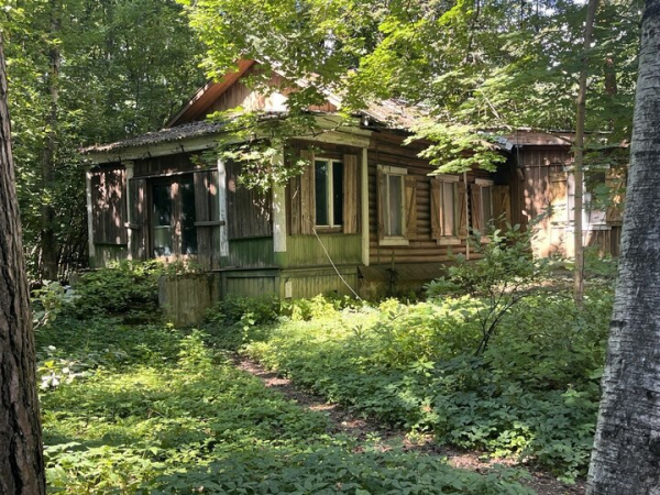 Зачем вдова легендарного телекомментатора Озерова в 94 года поехала в колонию