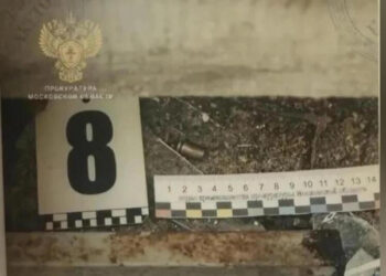 Завершено расследование убийства директора «гагаринского лицея» Вадима Мениса