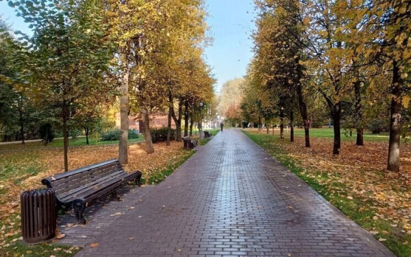 Давление и перепады погоды: как пережить скачки без вреда для здоровья