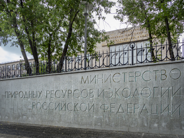 Главное экологическое ведомство станет награждать лучших наставников