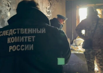 Корги прогнал медведя на Сахалине, а в Хабаровском крае в пожаре погибли женщина и четверо ее детей: картина дня в регионах России глазами «МК»