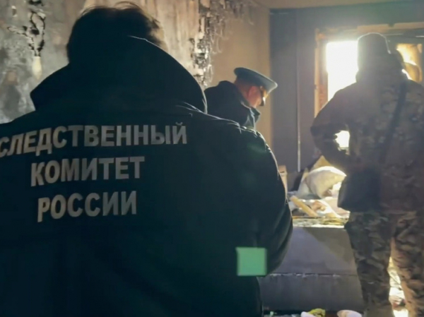 Корги прогнал медведя на Сахалине, а в Хабаровском крае в пожаре погибли женщина и четверо ее детей: картина дня в регионах России глазами &laquo;МК&raquo;