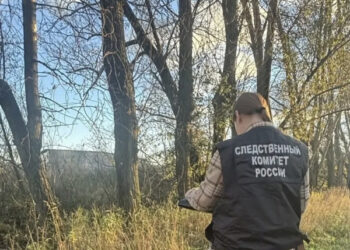 На окраине Петербурга нашли  расчлененное тело в пакете, а в Амурскую область приехал новозеландец, чтобы исполнить мечту деда: картина дня в регионах России глазами «МК»