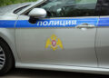 Питбуль снял скальп с мальчика в Красноярском крае, а в Сыктывкаре агрессивные хорьки напали на местных жителей: картина дня в регионах России глазами «МК»