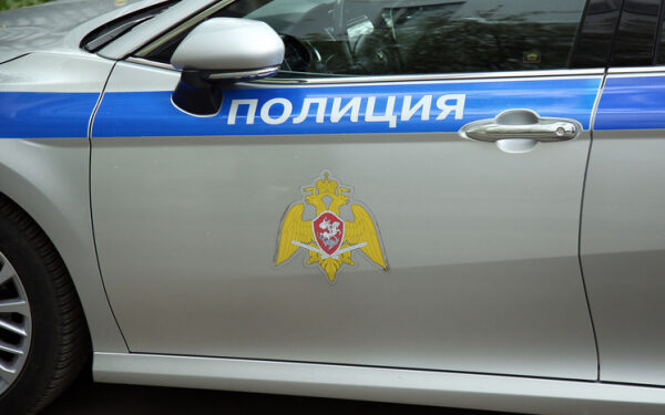 Питбуль снял скальп с мальчика в Красноярском крае, а в Сыктывкаре агрессивные хорьки напали на местных жителей: картина дня в регионах России глазами «МК»
