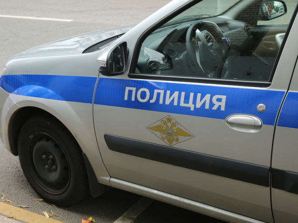 В Барнауле продается стриптиз-клуб за 11 млн рублей, а гостиничный номер рязанской актрисы Любови Толкалиной разгромили бабуины: картина дня в регионах России глазами &laquo;МК&raquo;