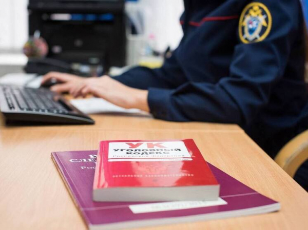 В Челябинске мужчина застрелил жену и падчерицу, а в Новосибирске лошадь весом 700 кг раздавила школьницу: картина дня в регионах России глазами &laquo;МК&raquo;