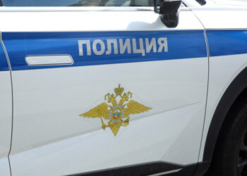 В Приморье братья-близнецы избили престарелую мать, а житель Воронежа пережил за один день инфаркт и инсульт: картина дня в регионах России глазами «МК»